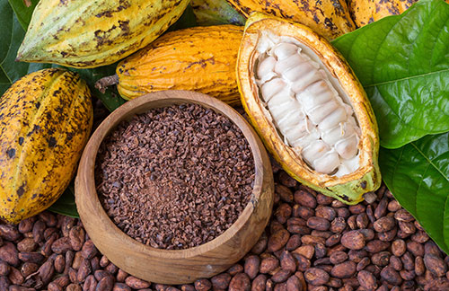 Cabosse de chocolat