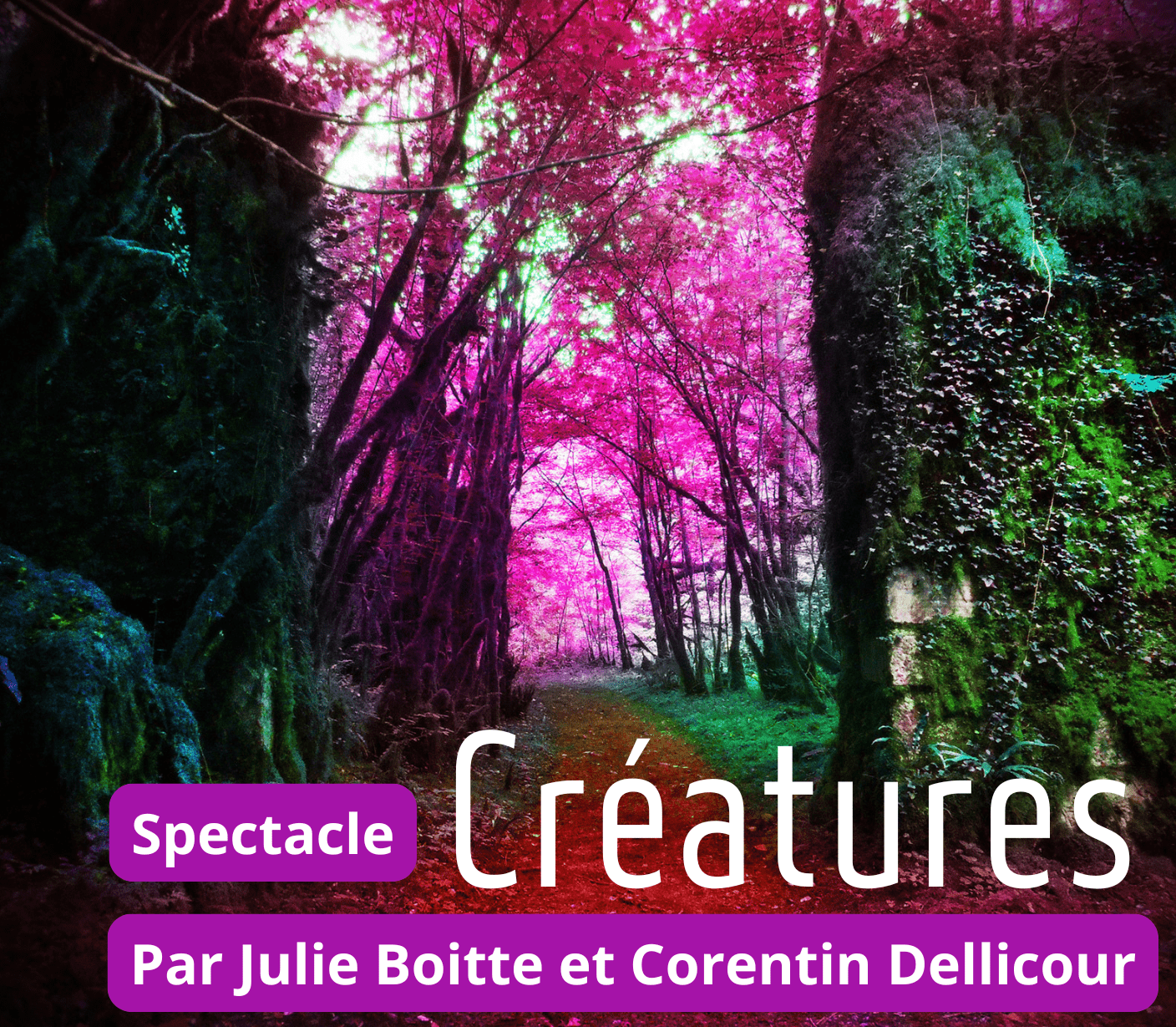 Spectacle Créatures