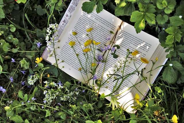 livre dans herbe