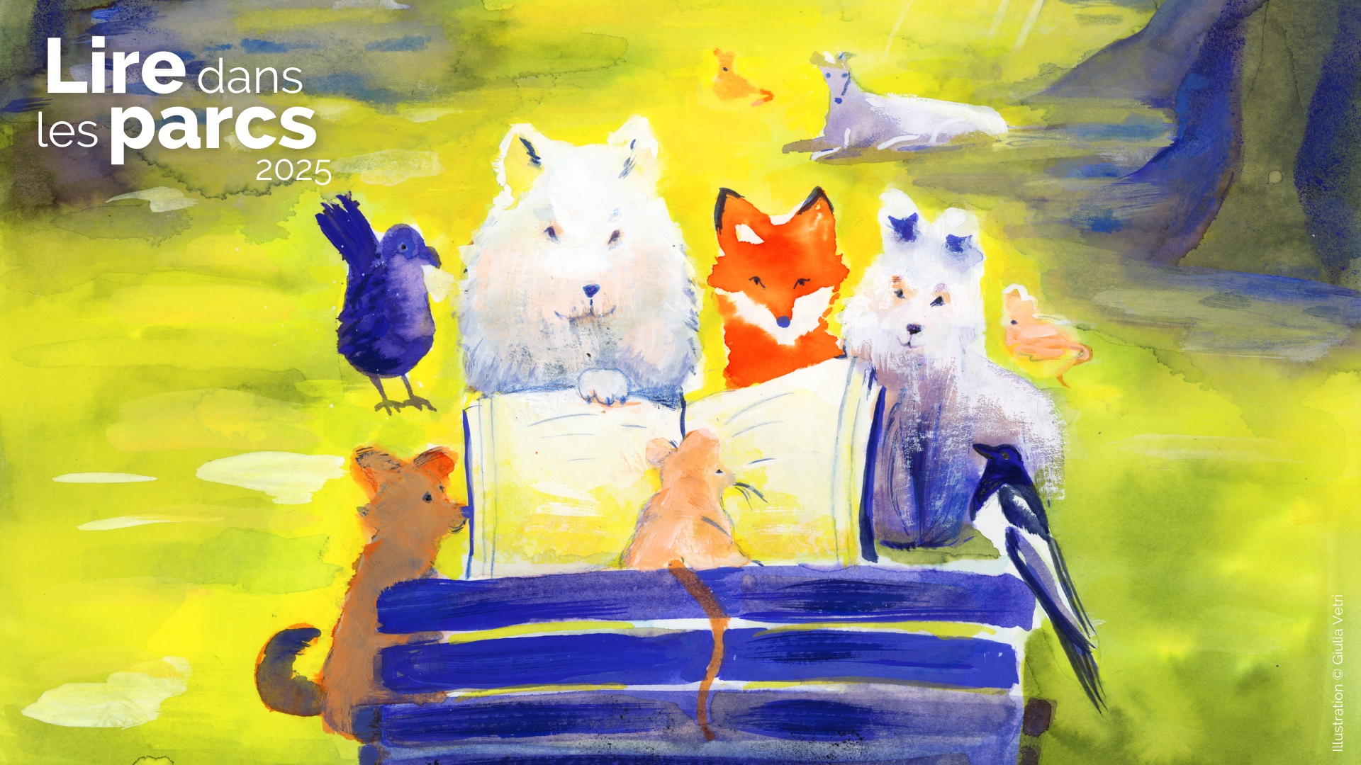 animaux dans un parc