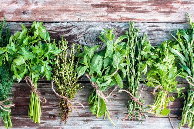 Atelier “Les aromatiques au quotidien”