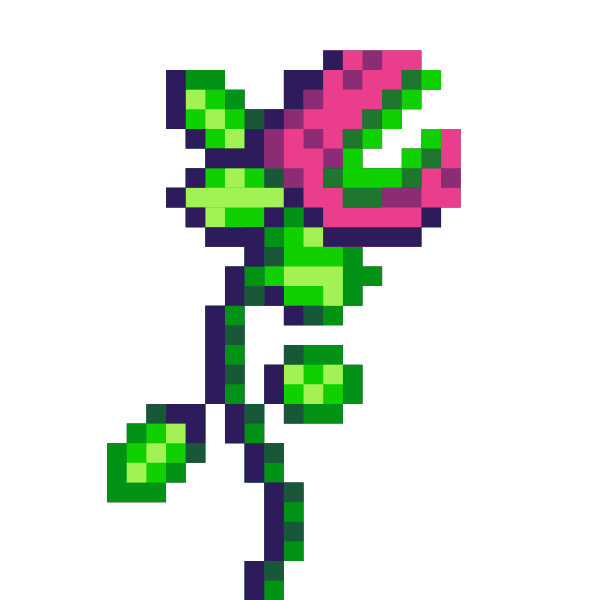 Plante
