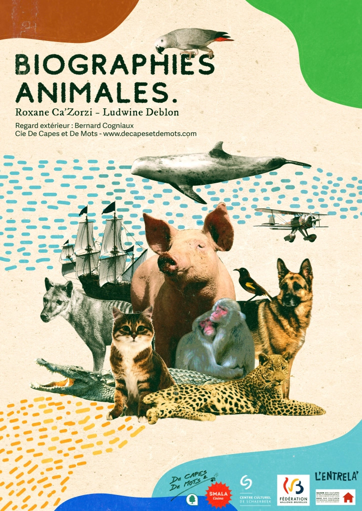 Image avec Un chien, un chat, deux macaques, un alligator, un perroquet, un cochon