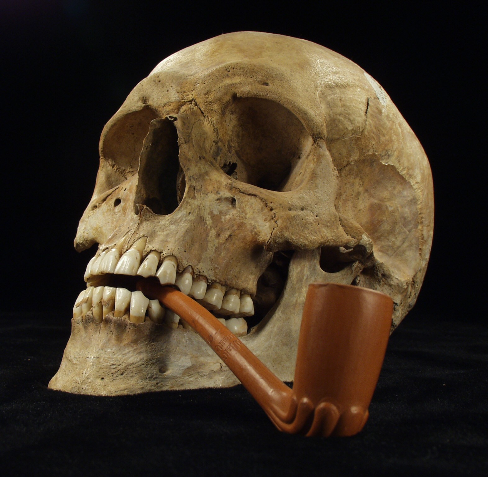 Crâne fumant une pipe