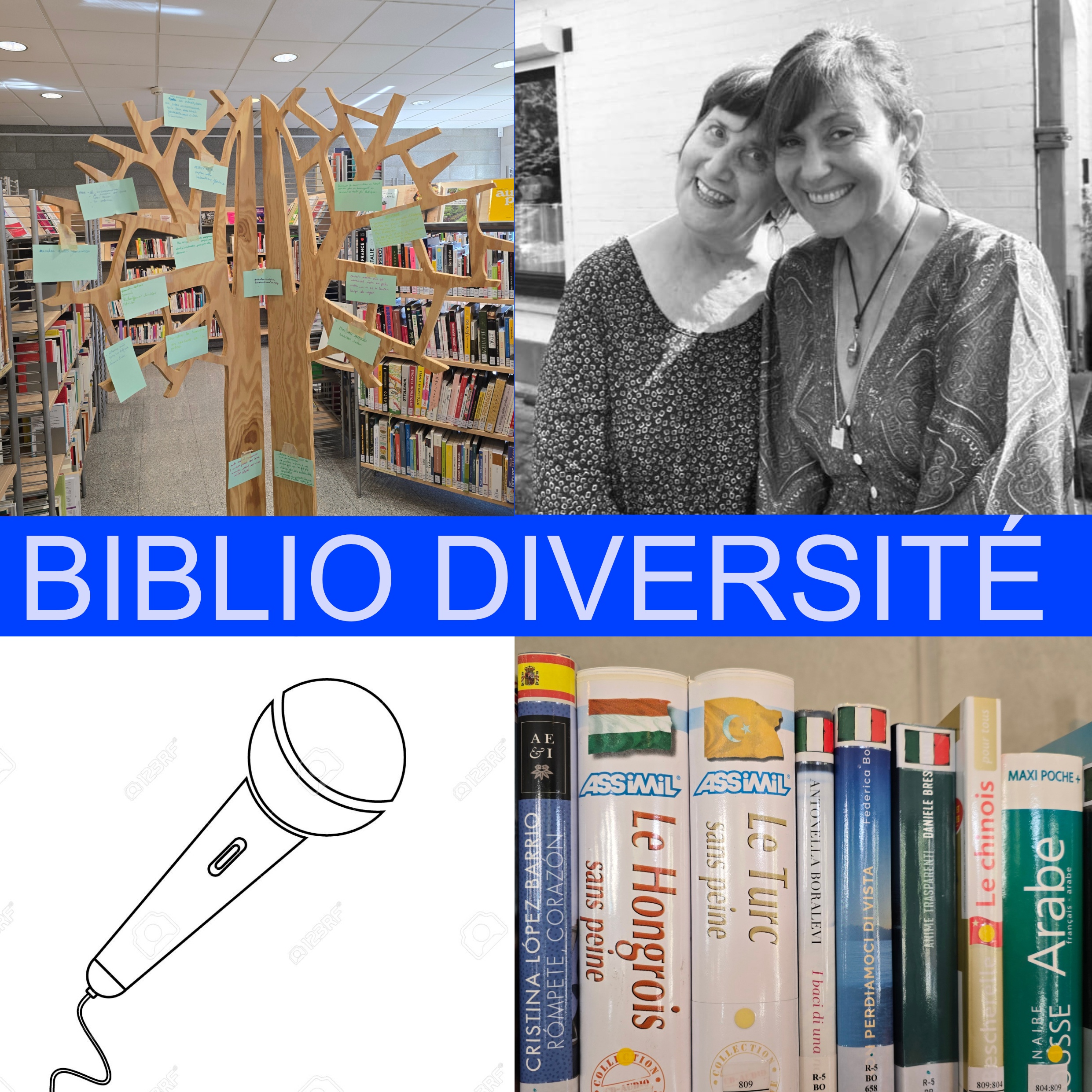 Journée Bibliodiversité