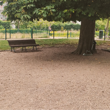 Banc et arbre dans un parc
